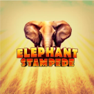 logo Elephant Stampede