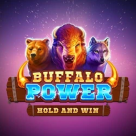 logo Buffalo Power Hold and Win
