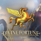 Divine Fortune logo