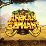 logo African Elephant