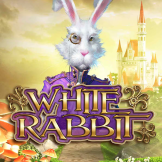 logo White Rabbit