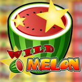 logo Wild Melon