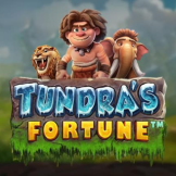 logo Tundra's Fortune