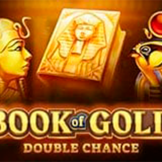 logo Book of Gold: Double Chance