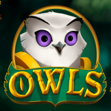 logo Owls