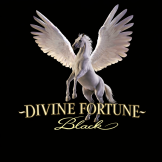 logo Divine Fortune Black