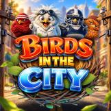 logo Birds in The City