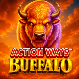 logo Action Ways Buffalo