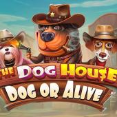 The Dog House – Dog or Alive logo