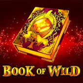 logo Book of Wild