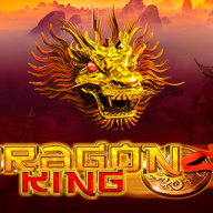 logo Dragon King