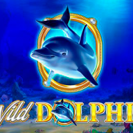 logo Wild Dolphin