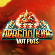 logo Dragon King Hot Pots