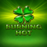 logo Burning Hot
