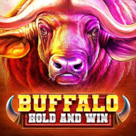 logo Buffalo Hold and Win