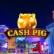 logo Cash Pig