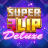 logo Super Flip Deluxe