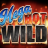 logo Mega Hot Wild