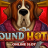 Hound Hotel logo