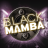 logo Black Mamba