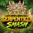 logo Serpentico Smash