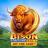 logo Bison Fortune Coins