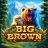 logo Big Brown