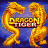logo Dragon Tiger