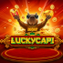 logo Luckycapi