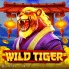 logo Wild Tiger