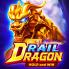 logo Rail Dragon