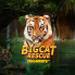 logo Big Cat Rescue Megaways