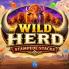 logo Wild Herd Stampede Stacks