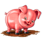 Pig img