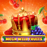 logo Mega Wild Fruits