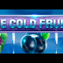 logo Ice Cold Fruits
