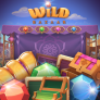 logo Wild Bazaar