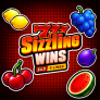 logo 777 Sizzling Wins 5 Lines