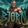 logo Bjorn