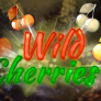 logo Wild Cherries
