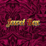 logo Jewel Box