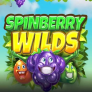 logo Spinberry Wilds