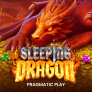 logo Sleeping Dragon