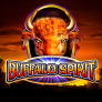 logo Buffalo Spirit