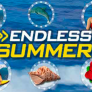 logo Endless Summer