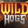 logo Wild Hogs