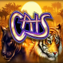 logo Cats