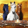 logo Storm Rider