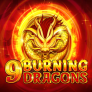 logo 9 Burning Dragons