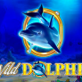 logo Wild Dolphin